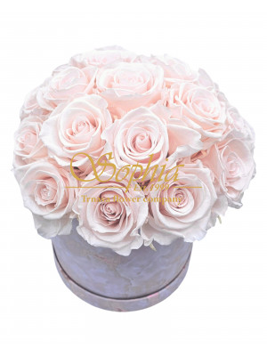 Powder Pink LUX (Eternal flower box)